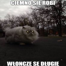 Awatar użytkownika